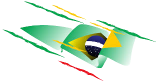 Bandeira Estilizada